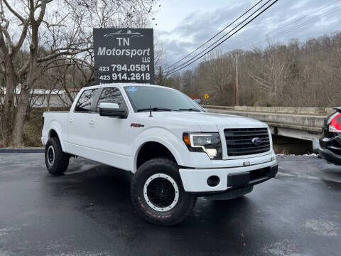 2014 Ford F-150 for sale at TN Motorsport LLC in Kingsport TN