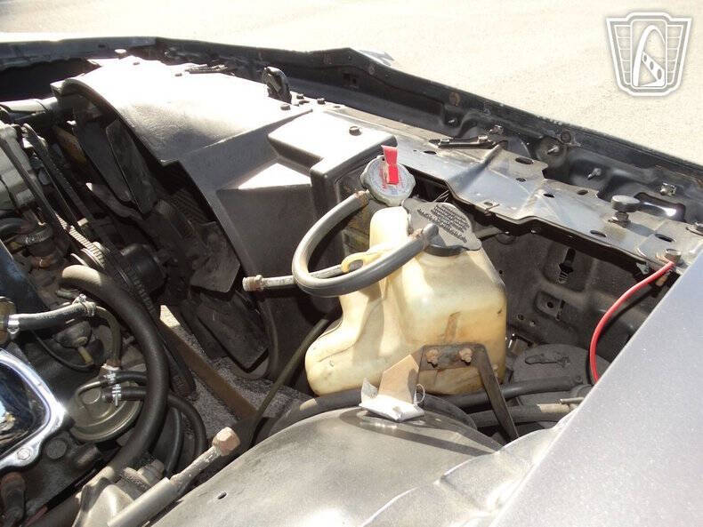 1979 Pontiac Firebird