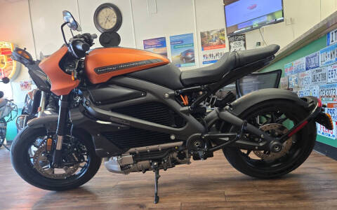 2022 Harley-Davidson LIVE WIRE 1