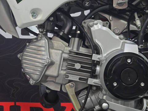 2026 Kawasaki KLX 110R L