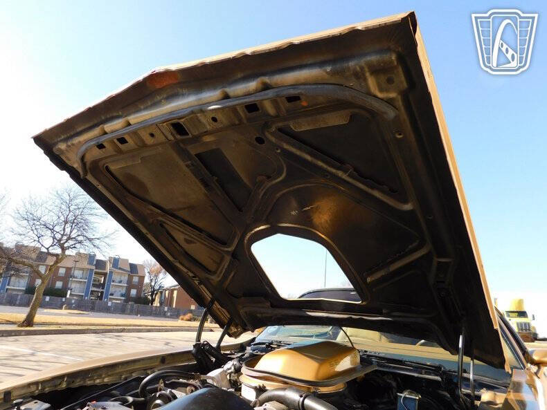 1979 Pontiac Firebird