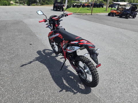 2024 TrailMaster TM 38EX-300