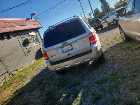 2011 Ford Escape XLT
