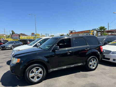 2010 Ford Escape for sale at Baba's Motorsports, LLC in Phoenix AZ