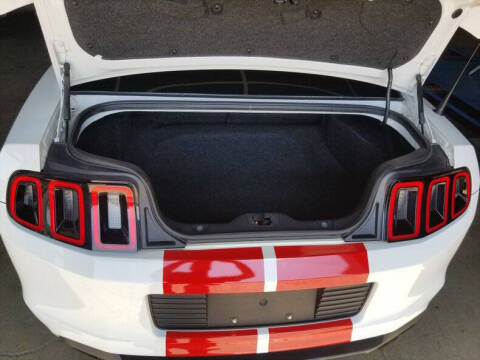 2014 Ford Shelby GT500