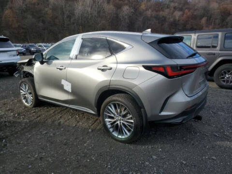 2025 Lexus NX 350h Premium