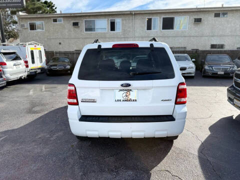 2008 Ford Escape XLT