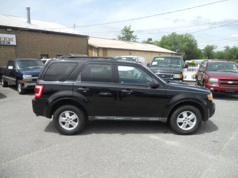 2010 Ford Escape for sale at All Cars and Trucks in Buena NJ