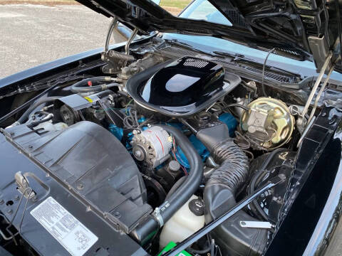 1976 Pontiac Firebird