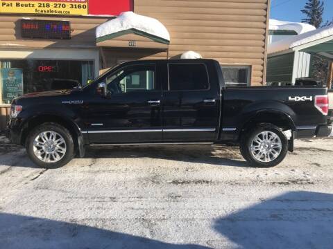 2013 Ford F-150 for sale at FCA Sales in Motley MN