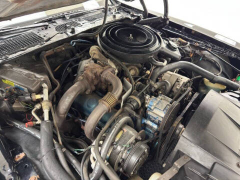 1981 Pontiac Firebird Trans Am