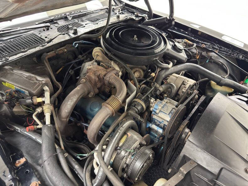 1981 Pontiac Firebird Trans Am