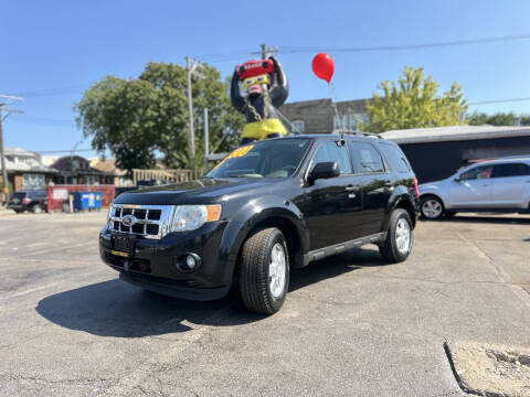 2011 Ford Escape XLT