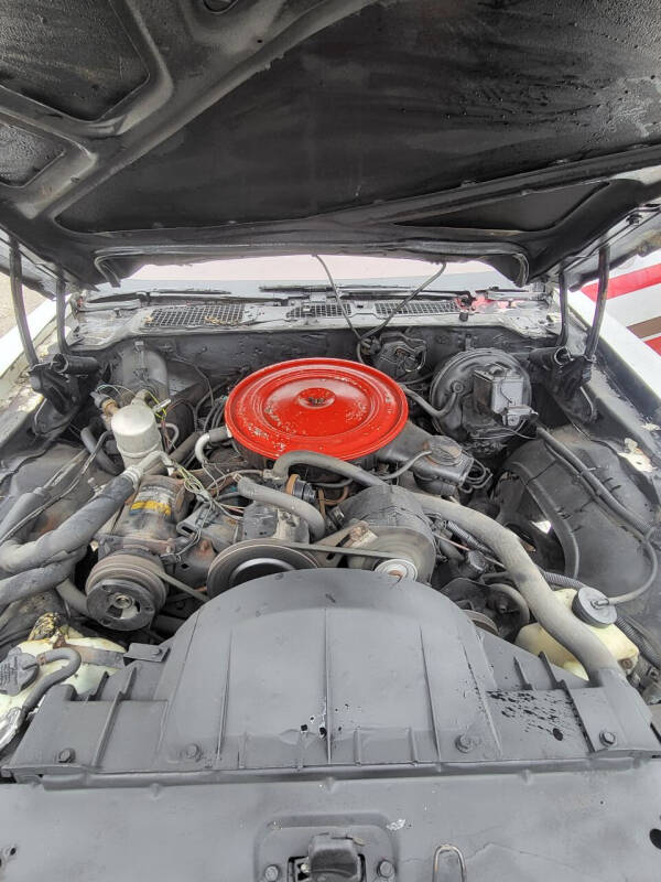 1980 Pontiac Firebird