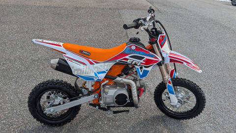 2025 TrailMaster SK110 ES