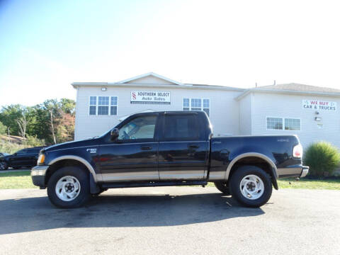 2003 Ford F-150 for sale at SOUTHERN SELECT AUTO SALES in Medina OH