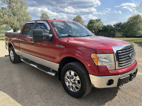 2010 Ford F-150 XLT