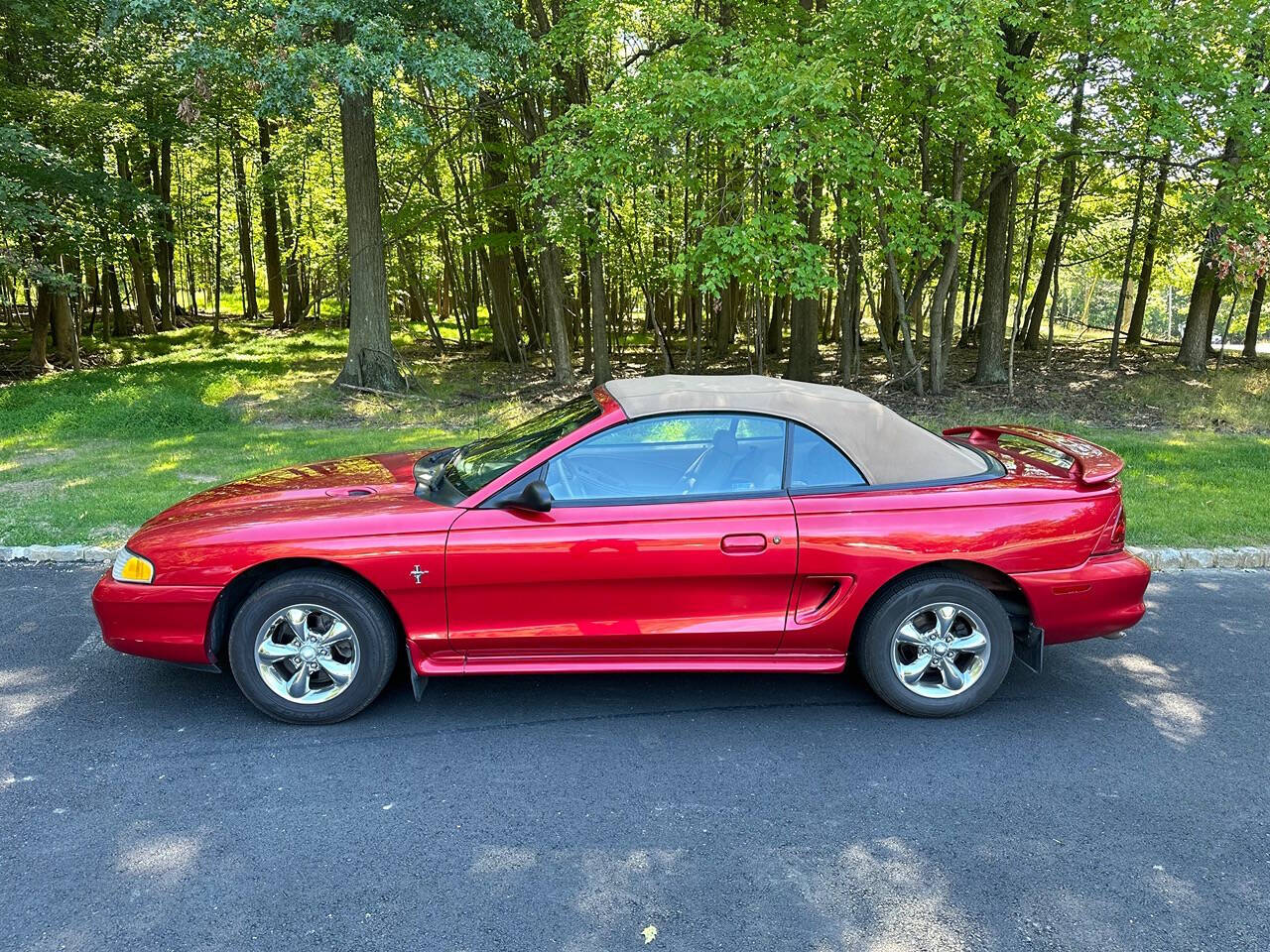 1998 Ford Mustang for sale at Froggy Cars LLC in Hamburg, NJ