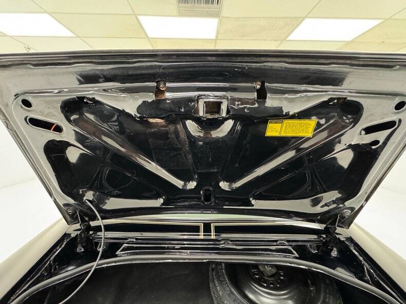 1981 Pontiac Firebird Trans Am