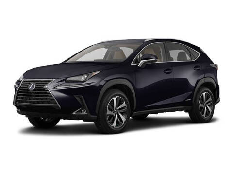 2019 Lexus NX 300h for sale at BORGMAN OF HOLLAND LLC in Holland MI