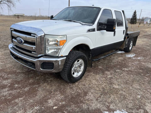 2011 Ford F-250 Super Duty for sale at Hilltop Auto Sales in Neligh NE