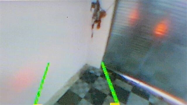 2016 RAM ProMaster 1500 118 WB