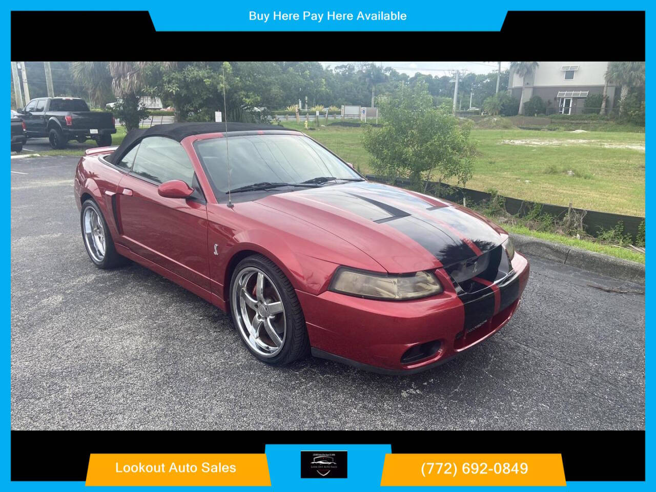 2003 Ford Mustang SVT Cobra for sale at Lookout Auto Sales in Stuart, FL