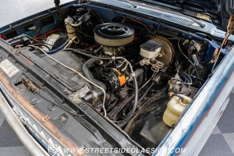 1981 Chevrolet C/K 10 Series