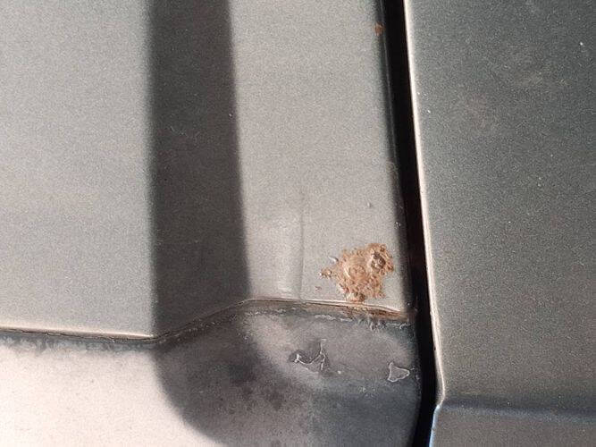 1981 Volkswagen Rabbit