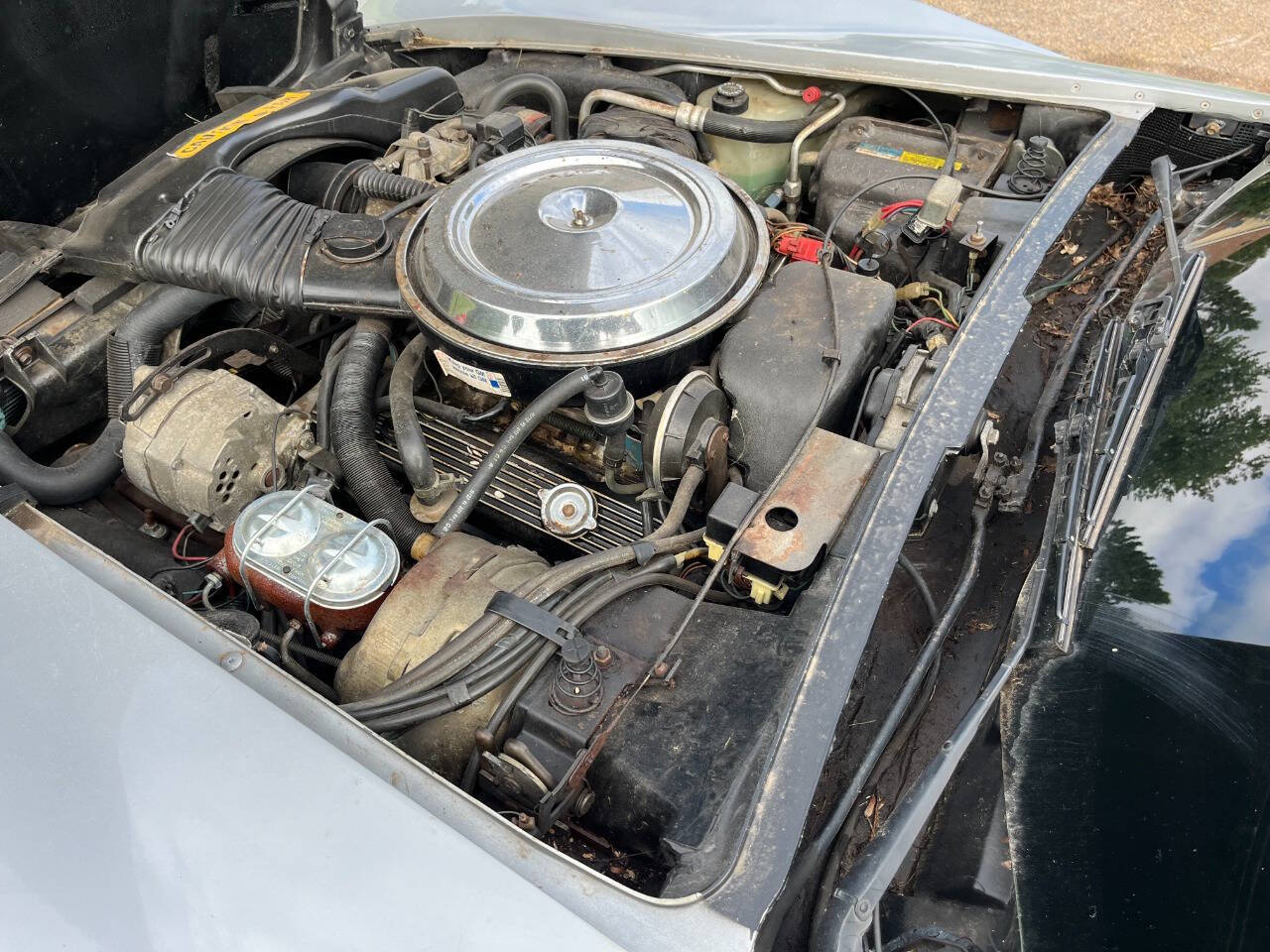 1981 Chevrolet Corvette 12