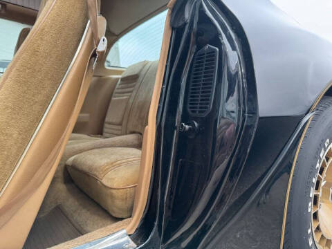 1981 Pontiac Firebird Trans Am