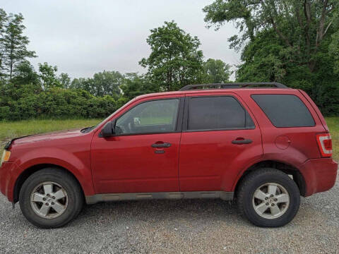 2010 Ford Escape XLT