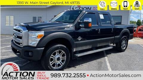 2014 Ford F-250 Super Duty for sale at Action Motor Sales in Gaylord MI