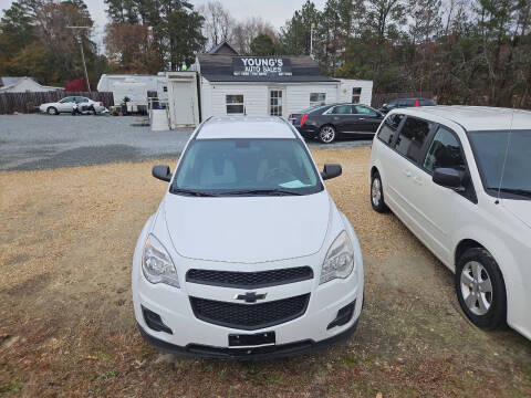 2011 Chevrolet Equinox for sale at Young's Auto Sales in Benson NC