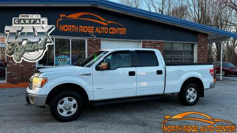 2012 Ford F-150 for sale at North Ridge Auto Center LLC in Madison OH