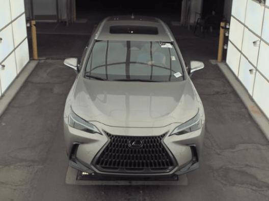 2024 Lexus NX 250 Premium