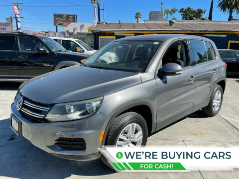 2012 Volkswagen Tiguan for sale at FJ Auto Sales North Hollywood in North Hollywood CA