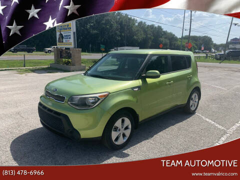 2014 Kia Soul for sale at TEAM AUTOMOTIVE in Valrico FL