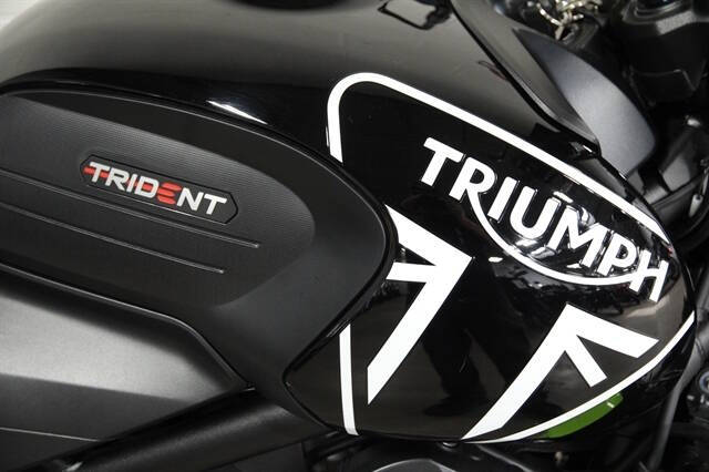 2024 Triumph Trident 66