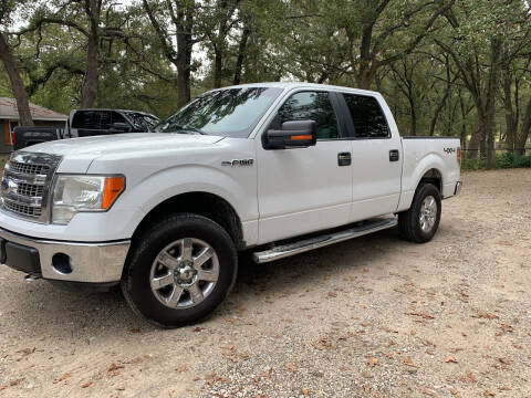2013 Ford F-150 for sale at BARROW MOTORS in Campbell TX