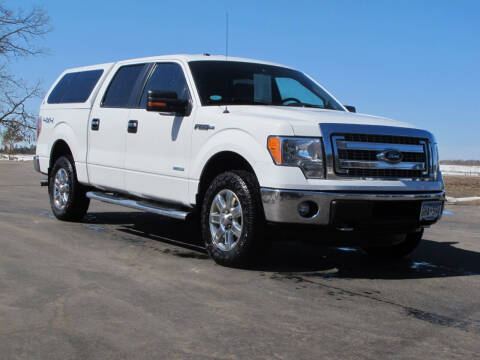2014 Ford F-150 for sale at CAT CREEK AUTO in Menahga MN