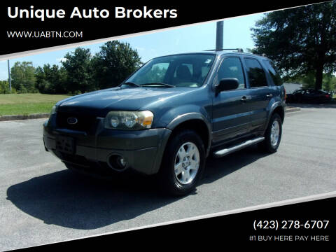 2006 Ford Escape for sale at Unique Auto Brokers in Kingsport TN