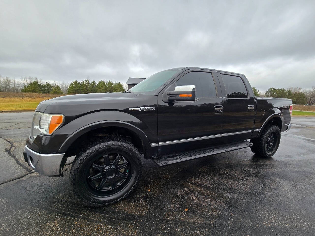 2010 Ford F-150 for sale at Dedicated Auto Sales Inc in Elk River, MN