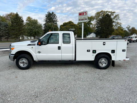 2013 Ford F-250 Super Duty for sale at MOES AUTO SALES in Spiceland IN