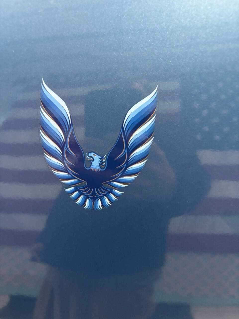 1979 Pontiac Firebird 18