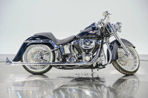 2009 Harley-Davidson FLTSN