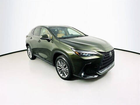 2023 Lexus NX 350 for sale at Bob Weaver Auto in Pottsville PA