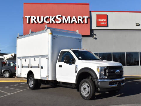 2019 Ford F-450 Super Duty for sale at Trucksmart Isuzu in Morrisville PA