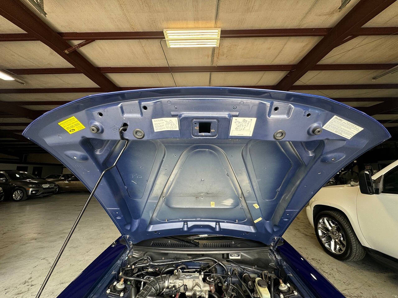 2003 Ford Mustang for sale at Carnival Car Company in Victoria, TX