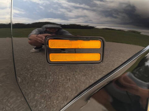 1981 Pontiac Firebird Trans Am